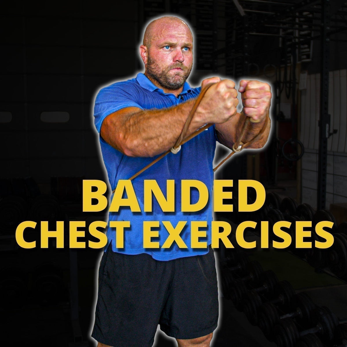 Chest exercises store resistance bands