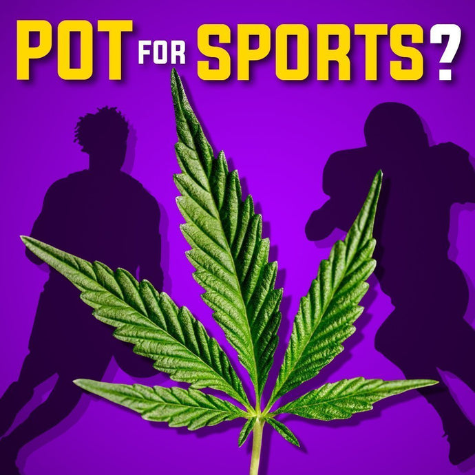 How long does weed stay in an athlete's system