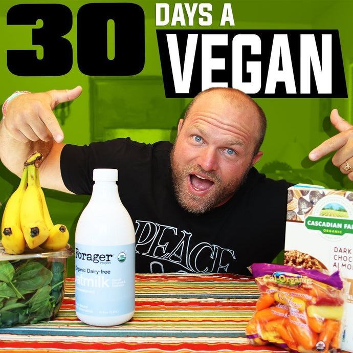 Vegan for 30 days | Blood Work Results!!