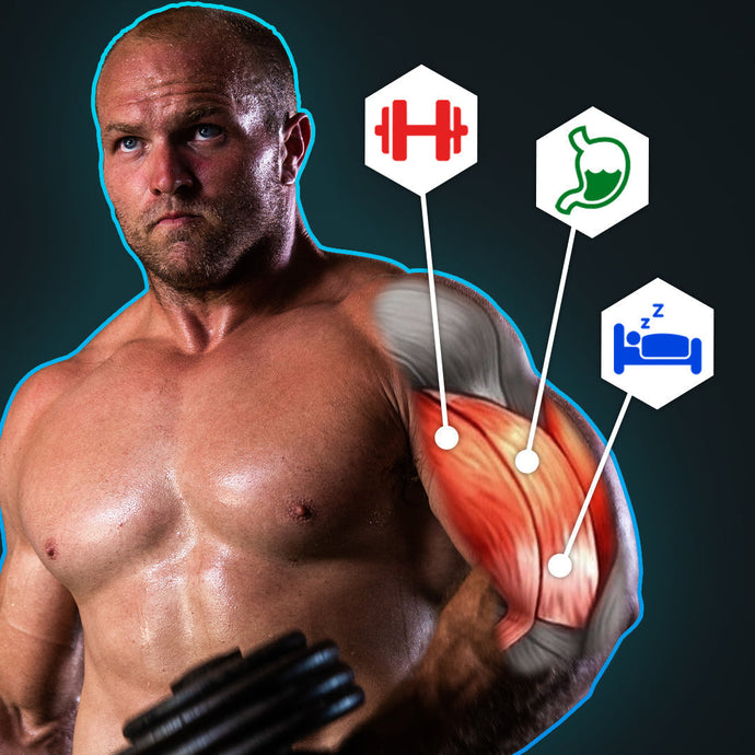 How much protein do athletes need | SWÖLE science