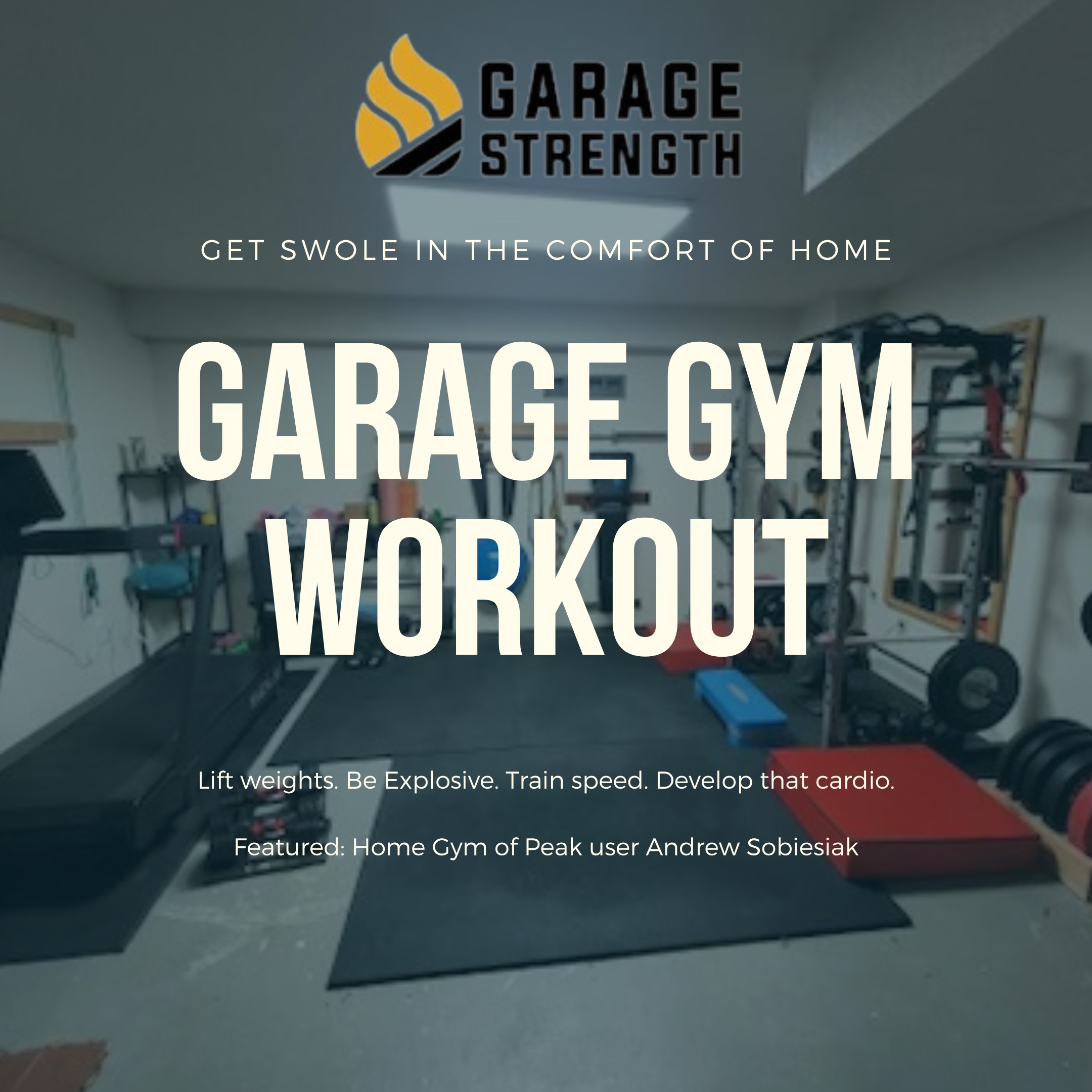Garage gym bodybuilding program hotsell