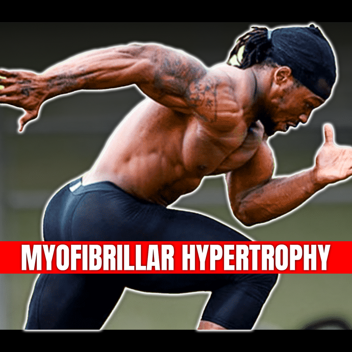 Understanding the STRENGTH of MyoFibrillar Hypertrophy