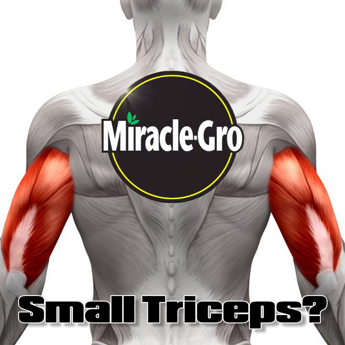 The Two BEST Tricep Exercises...Ever