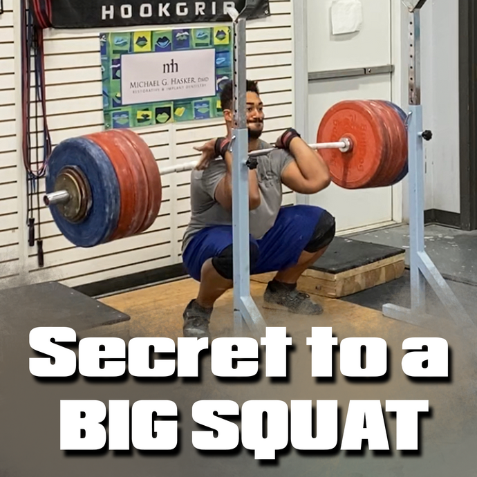 Double Bounce Squat