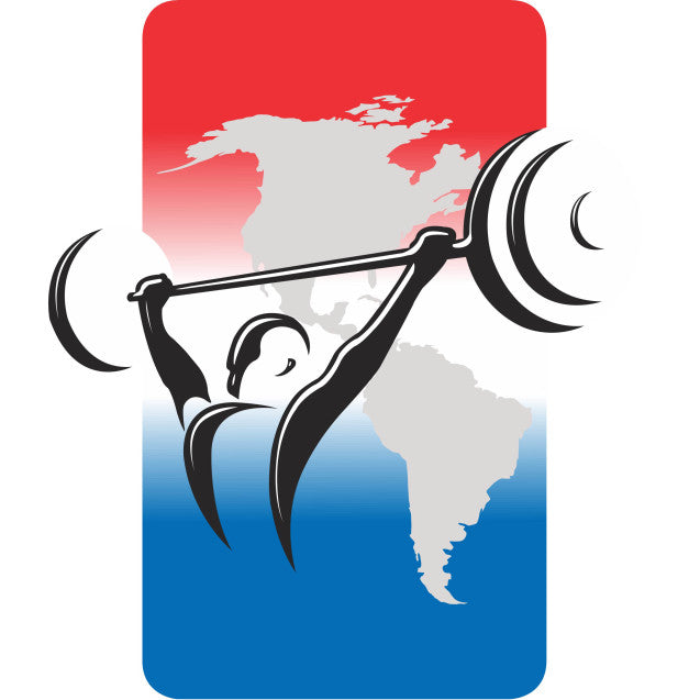 Pan Ams Part I: Pan Am Criticism