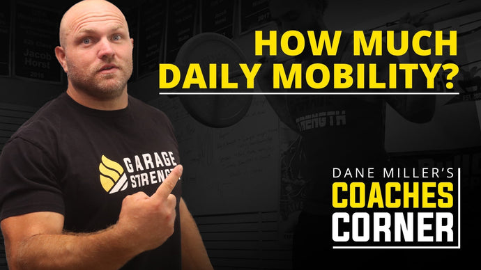 How Much Daily Mobility?