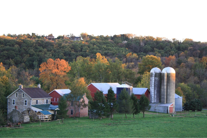 6 Ways Farming Shaped My Athletic Career
