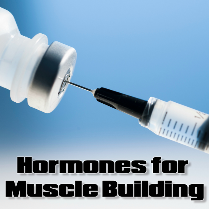 Hormones for Muscle Building