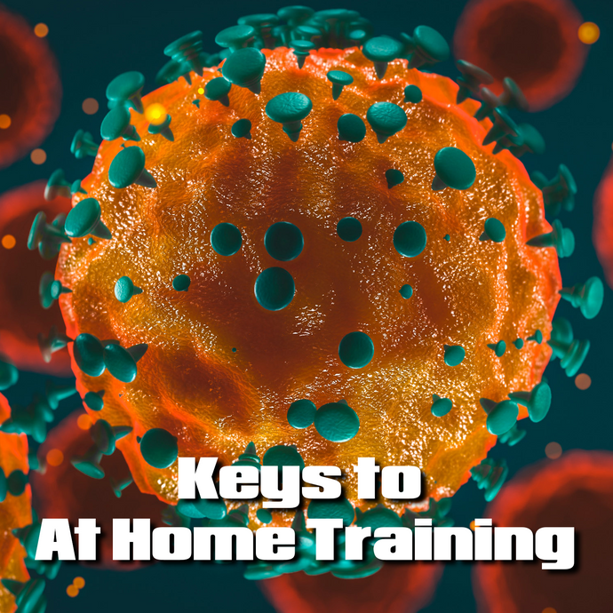In-Home Training: Keys to Success