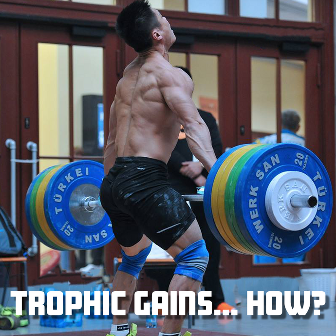 Myofibrillar Hypertrophy